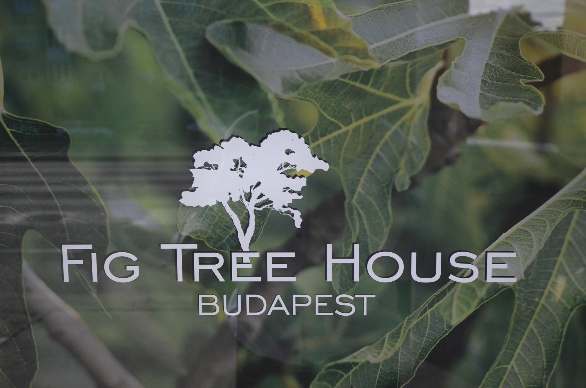 Fig Tree House بودابست المظهر الخارجي الصورة